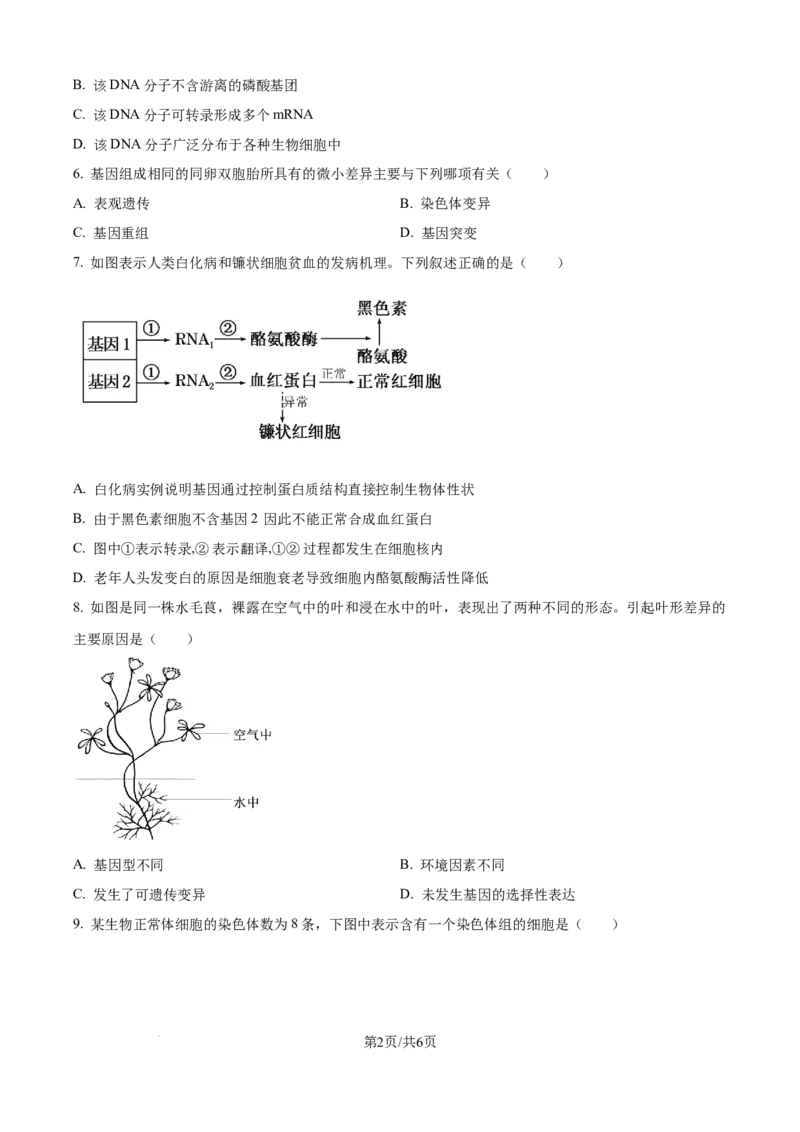 精品解析：江西省上饶市余干县蓝天实验学校2025-2026学年高二上学期第一次月考生物试题（原卷版）_2025年10月高二试卷