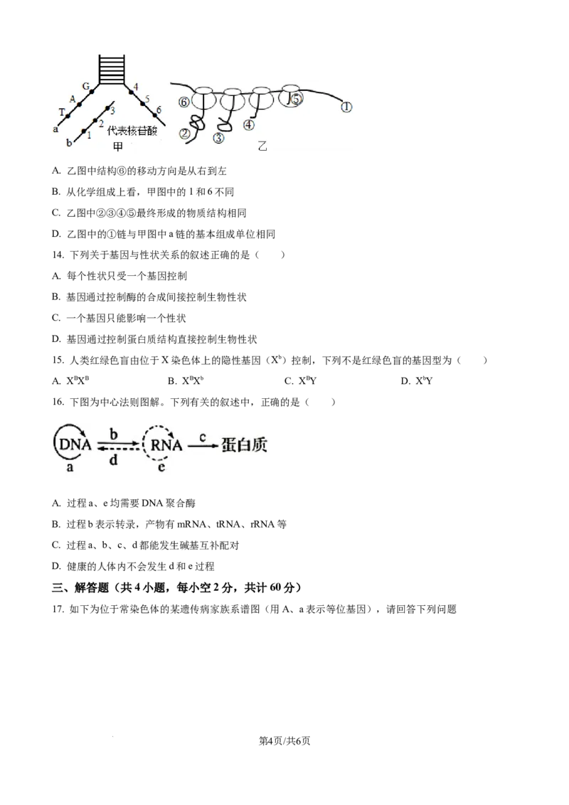 精品解析：江西省上饶市余干县蓝天实验学校2025-2026学年高二上学期第一次月考生物试题（原卷版）_2025年10月高二试卷