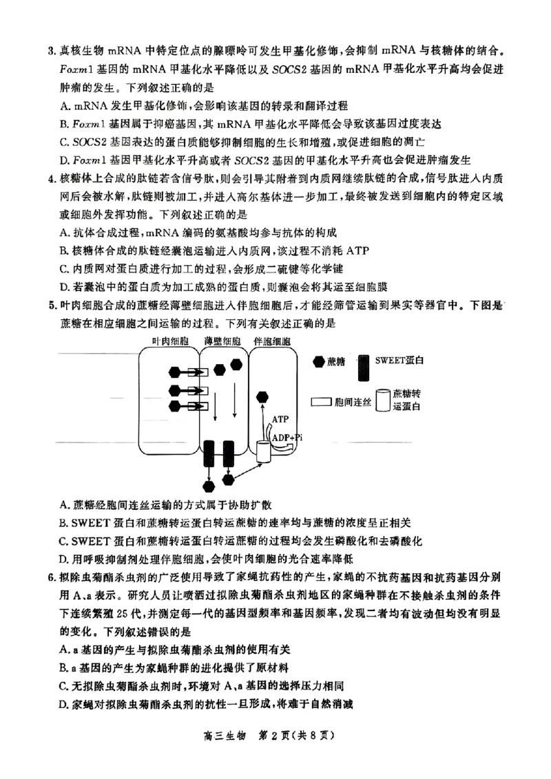 生物-河北省2025届高三大数据9月应用调研联合测评（Ⅰ）_2024-2025高三（6-6月题库）_2024年09月试卷_0906河北省2025届高三大数据9月应用调研联合测评（Ⅰ）