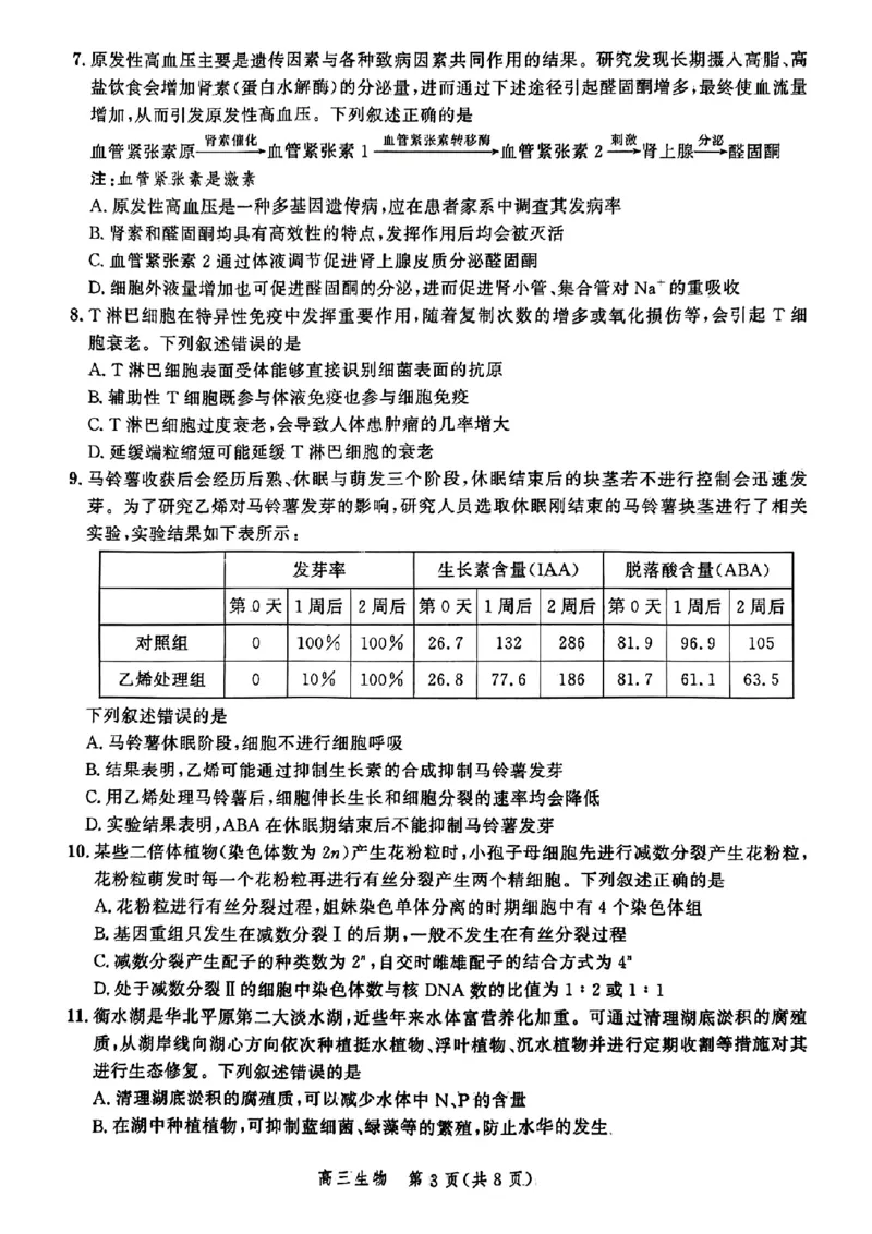 生物-河北省2025届高三大数据9月应用调研联合测评（Ⅰ）_2024-2025高三（6-6月题库）_2024年09月试卷_0906河北省2025届高三大数据9月应用调研联合测评（Ⅰ）