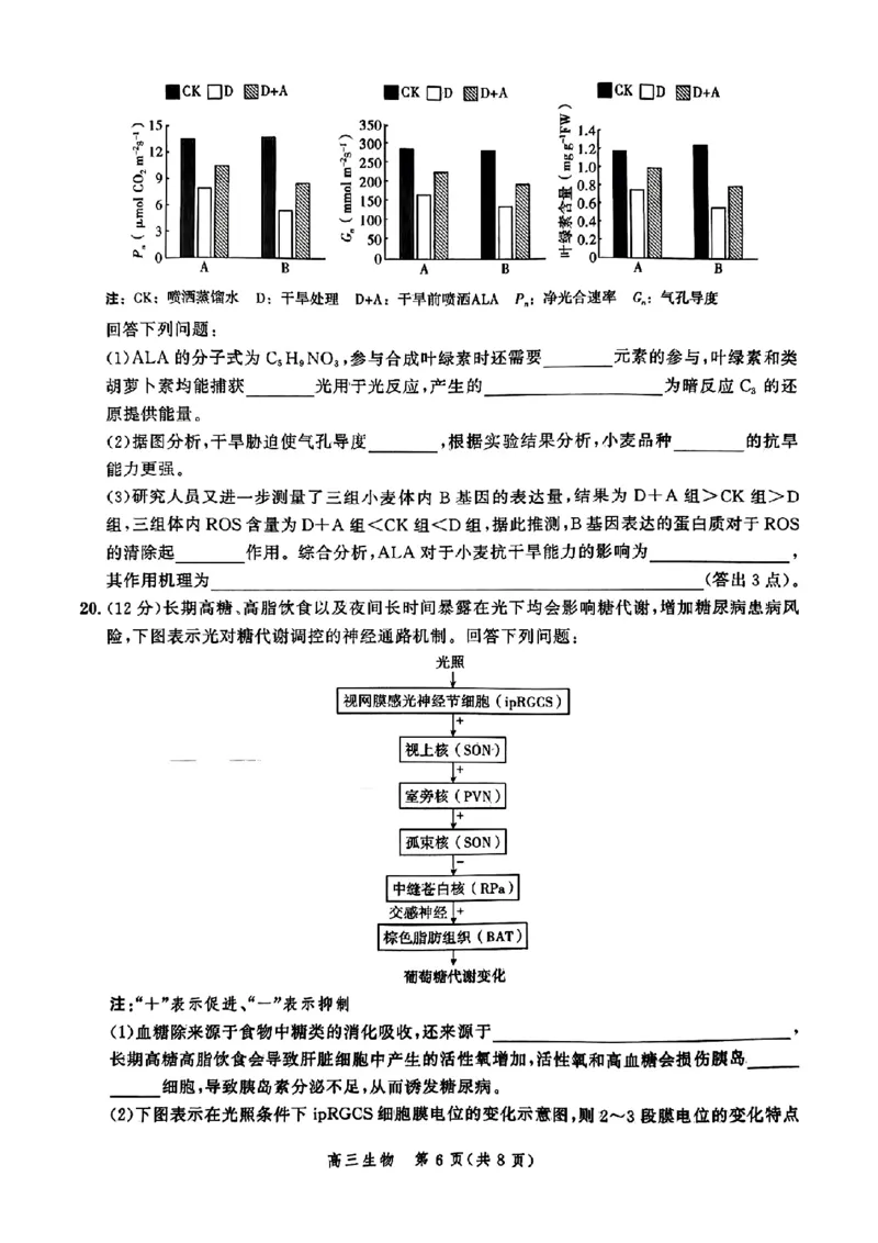 生物-河北省2025届高三大数据9月应用调研联合测评（Ⅰ）_2024-2025高三（6-6月题库）_2024年09月试卷_0906河北省2025届高三大数据9月应用调研联合测评（Ⅰ）