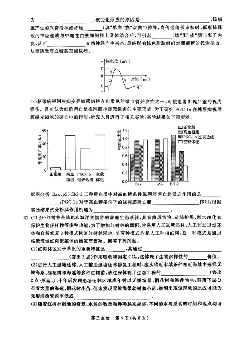 生物-河北省2025届高三大数据9月应用调研联合测评（Ⅰ）_2024-2025高三（6-6月题库）_2024年09月试卷_0906河北省2025届高三大数据9月应用调研联合测评（Ⅰ）