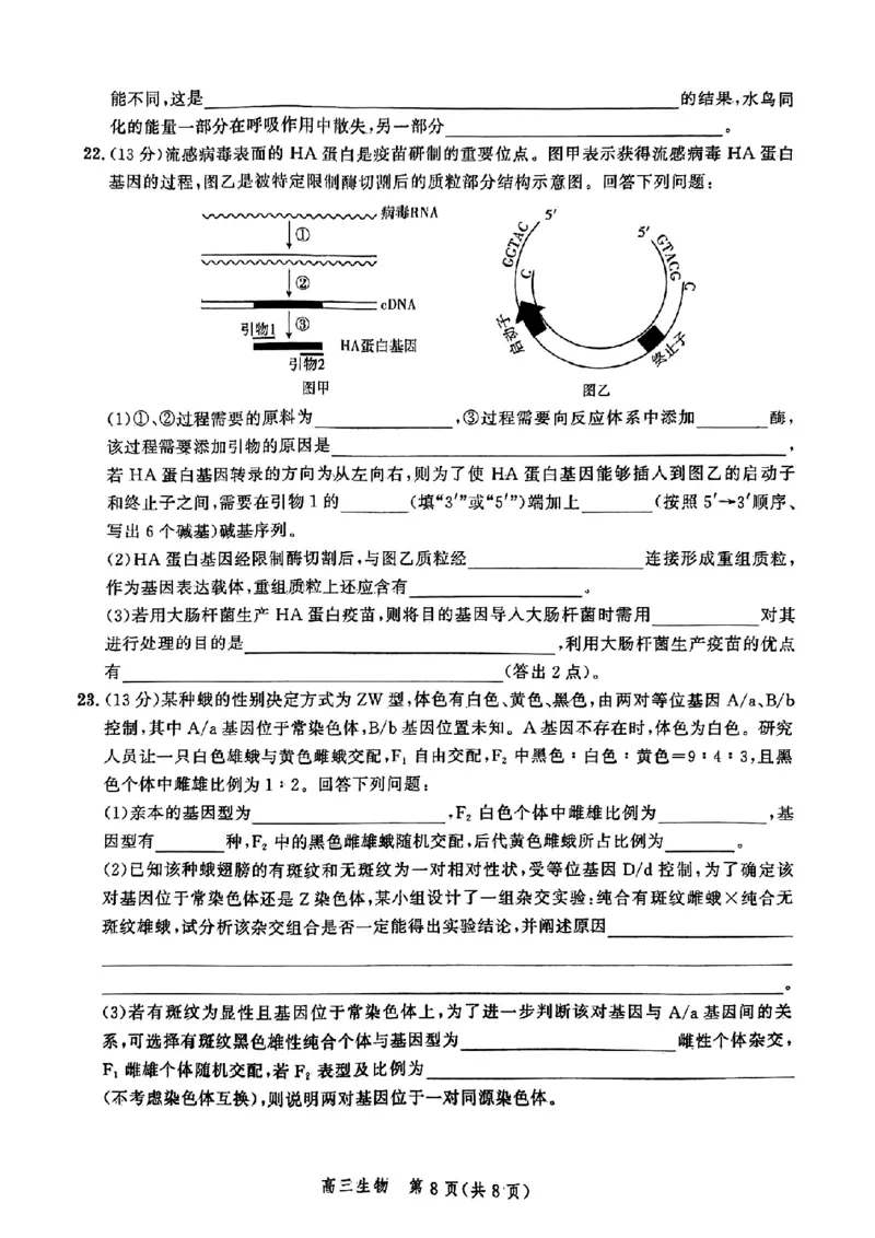 生物-河北省2025届高三大数据9月应用调研联合测评（Ⅰ）_2024-2025高三（6-6月题库）_2024年09月试卷_0906河北省2025届高三大数据9月应用调研联合测评（Ⅰ）