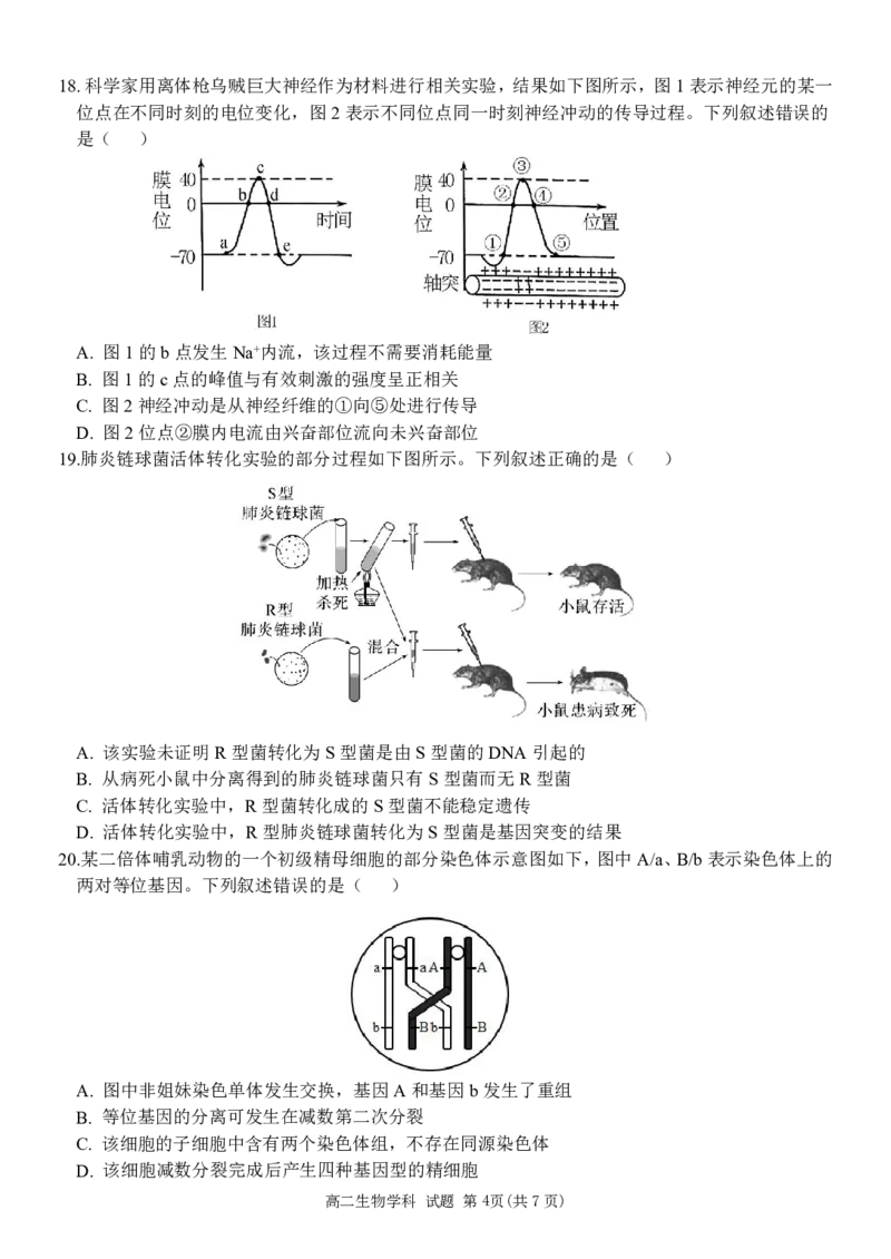 生物-浙江丽水五校高中发展共同体2024学年高二第一学期10月联考_2024-2025高二（7-7月题库）_2024年10月试卷_1022浙江丽水五校高中发展共同体2024学年高二第一学期10月联考