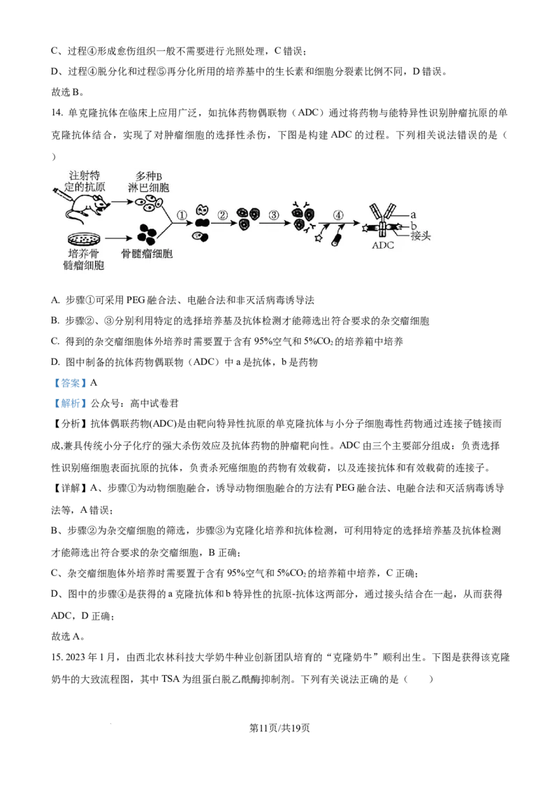 精品解析：四川省成都市蓉城名校2024-2025学年高三上学期入学考试生物试题（解析版）_2024-2025高三（6-6月题库）_2024年09月试卷