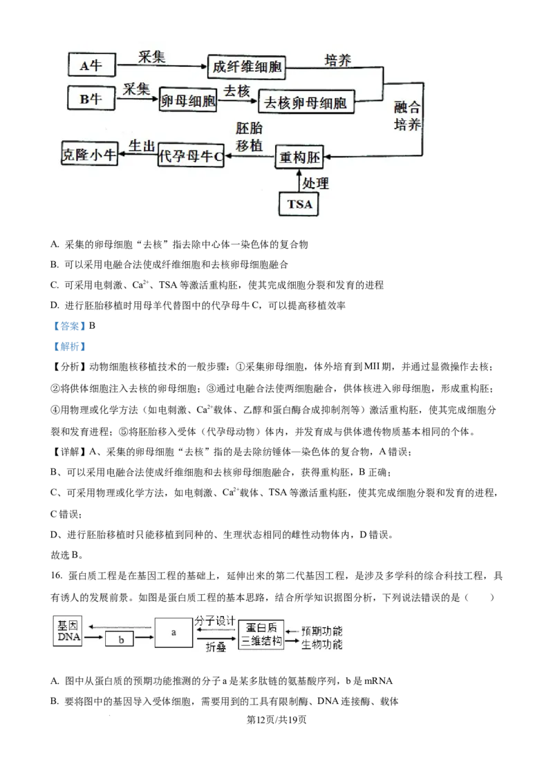 精品解析：四川省成都市蓉城名校2024-2025学年高三上学期入学考试生物试题（解析版）_2024-2025高三（6-6月题库）_2024年09月试卷