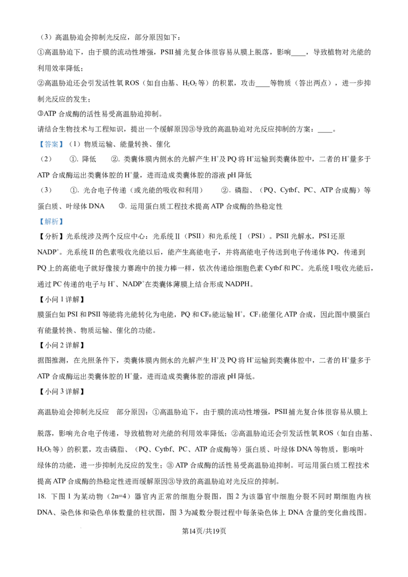 精品解析：四川省成都市蓉城名校2024-2025学年高三上学期入学考试生物试题（解析版）_2024-2025高三（6-6月题库）_2024年09月试卷