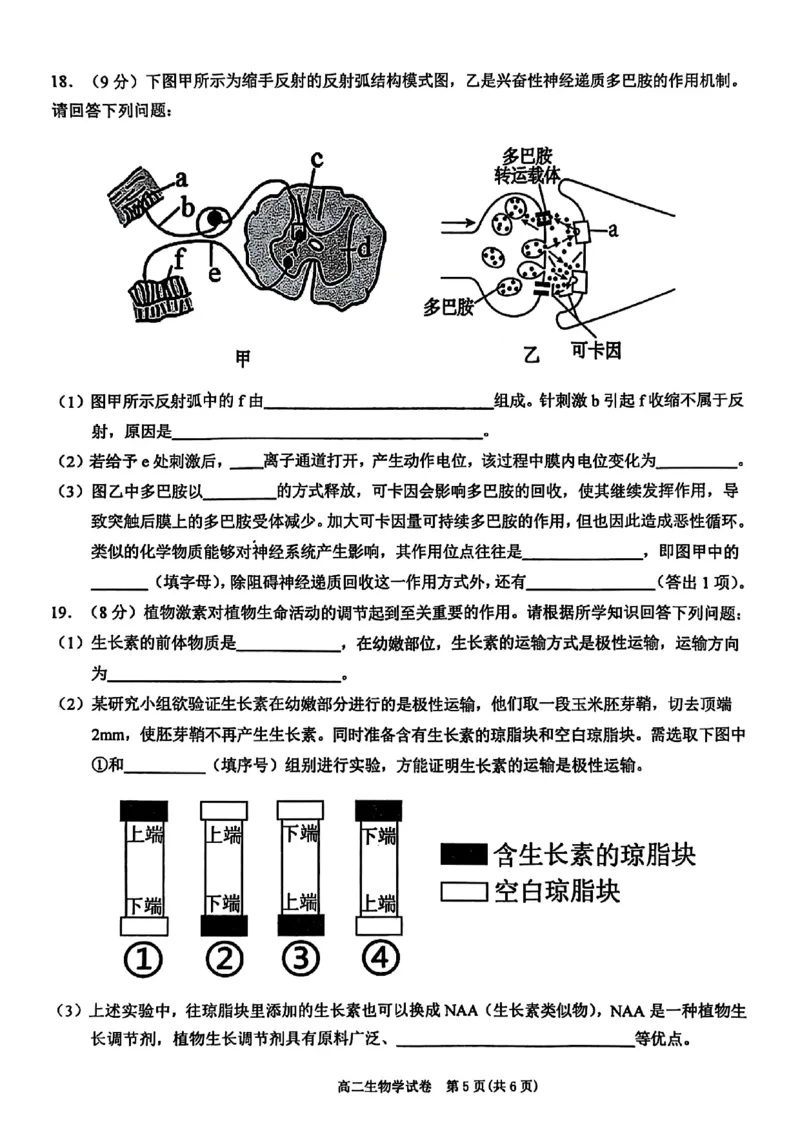 贵州省黔东南州2024-2025学年高二上学期期末生物试卷_2024-2025高二（7-7月题库）_2025年03月试卷_0312贵州省黔东南苗族侗族自治州2024-2025学年高二上学期期末考试