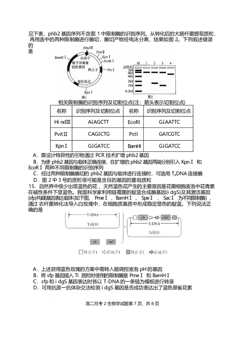 福建省龙岩市连城县第一中学2024-2025学年高二下学期5月月考2生物学试卷（含答案）_2024-2025高二（7-7月题库）_2025年6月试卷_0609福建省连城县第一中学2024-2025学年高二下学期5月月考2