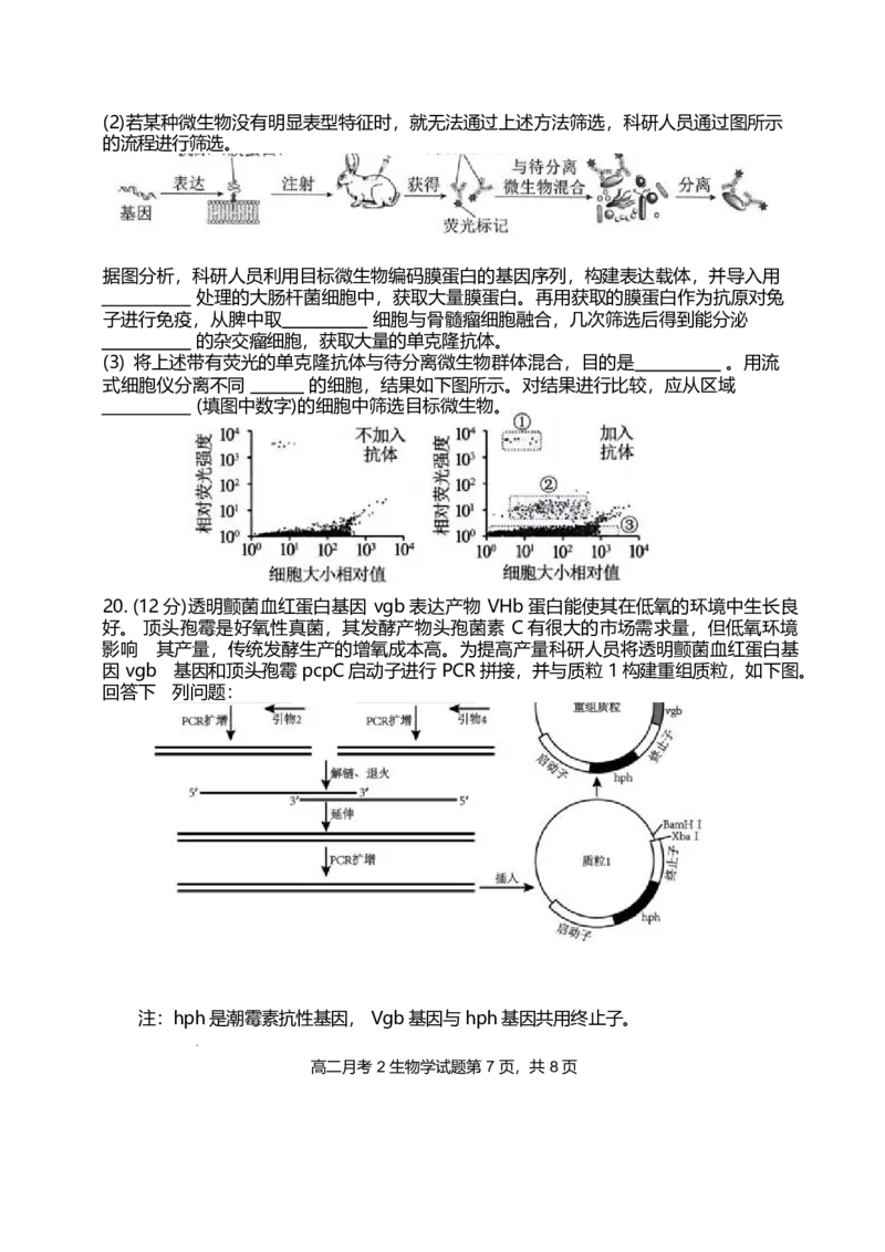 福建省龙岩市连城县第一中学2024-2025学年高二下学期5月月考2生物学试卷（含答案）_2024-2025高二（7-7月题库）_2025年6月试卷_0609福建省连城县第一中学2024-2025学年高二下学期5月月考2