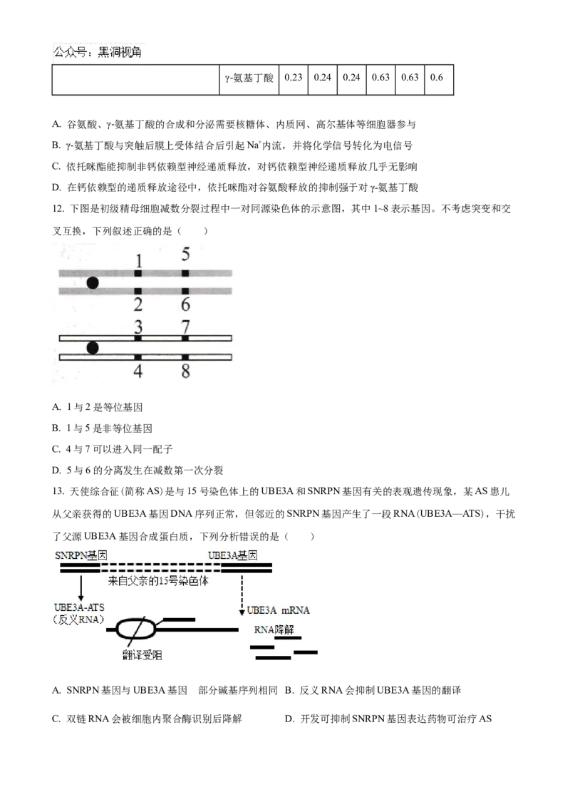 福建省泉州五校联考2024-2025学年高三上学期11月期中生物试题Word版无答案_2024-2025高三（6-6月题库）_2024年11月试卷_1126福建省泉州市五校2024-2025学年高三上学期11月期中联考