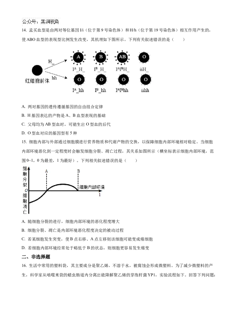 福建省泉州五校联考2024-2025学年高三上学期11月期中生物试题Word版无答案_2024-2025高三（6-6月题库）_2024年11月试卷_1126福建省泉州市五校2024-2025学年高三上学期11月期中联考