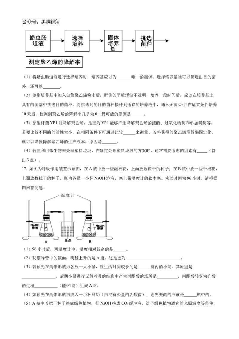 福建省泉州五校联考2024-2025学年高三上学期11月期中生物试题Word版无答案_2024-2025高三（6-6月题库）_2024年11月试卷_1126福建省泉州市五校2024-2025学年高三上学期11月期中联考