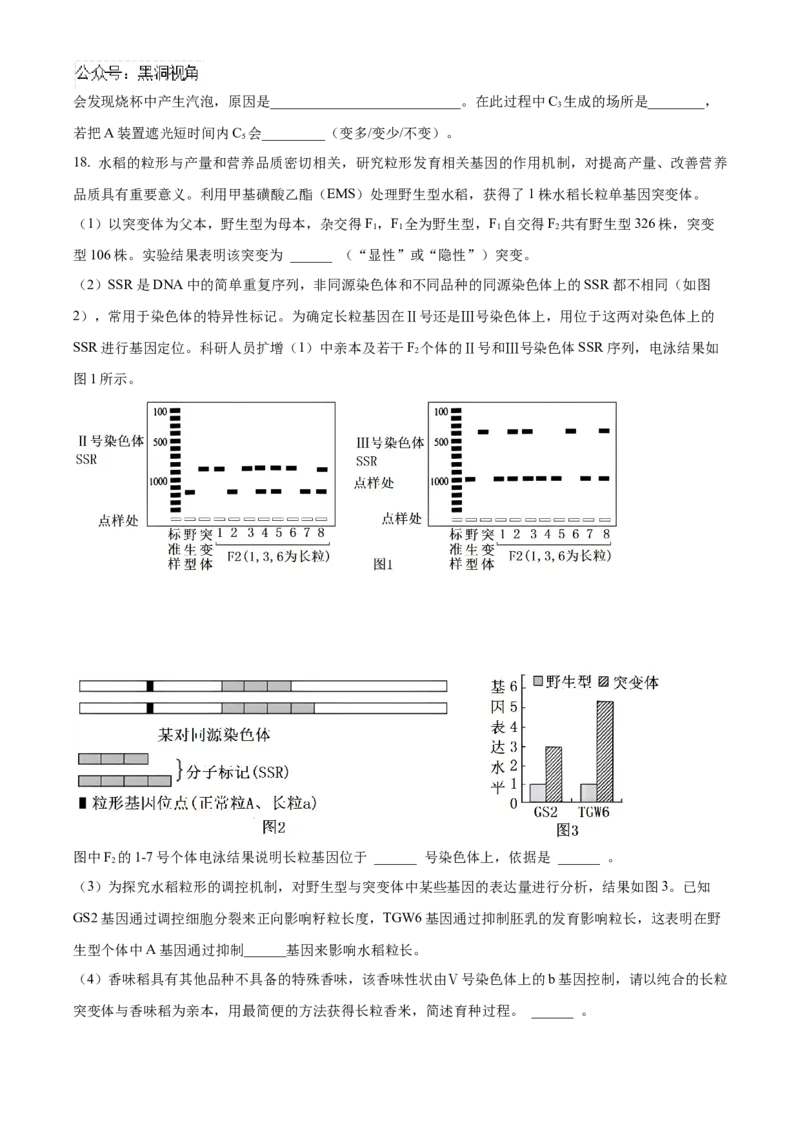 福建省泉州五校联考2024-2025学年高三上学期11月期中生物试题Word版无答案_2024-2025高三（6-6月题库）_2024年11月试卷_1126福建省泉州市五校2024-2025学年高三上学期11月期中联考