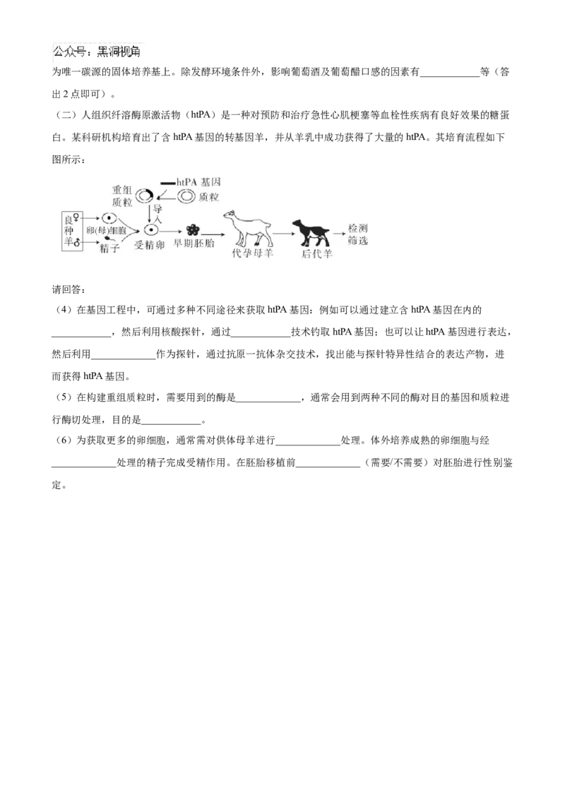 福建省泉州五校联考2024-2025学年高三上学期11月期中生物试题Word版无答案_2024-2025高三（6-6月题库）_2024年11月试卷_1126福建省泉州市五校2024-2025学年高三上学期11月期中联考