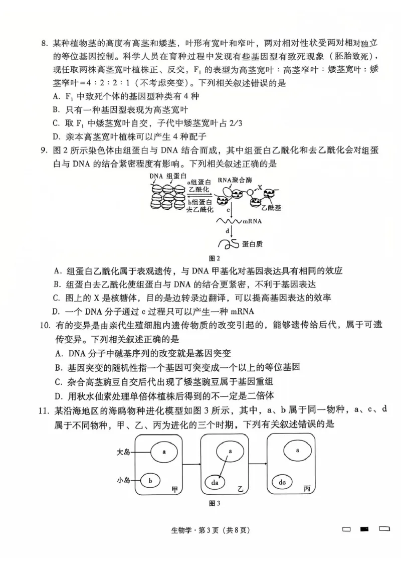 生物_2024-2025高三（6-6月题库）_2024年12月试卷_1229云南师大附中2025届高三12月适应性月考卷（七）（全科）_云南师大附中2025届高三12月适应性月考卷（七）生物试题