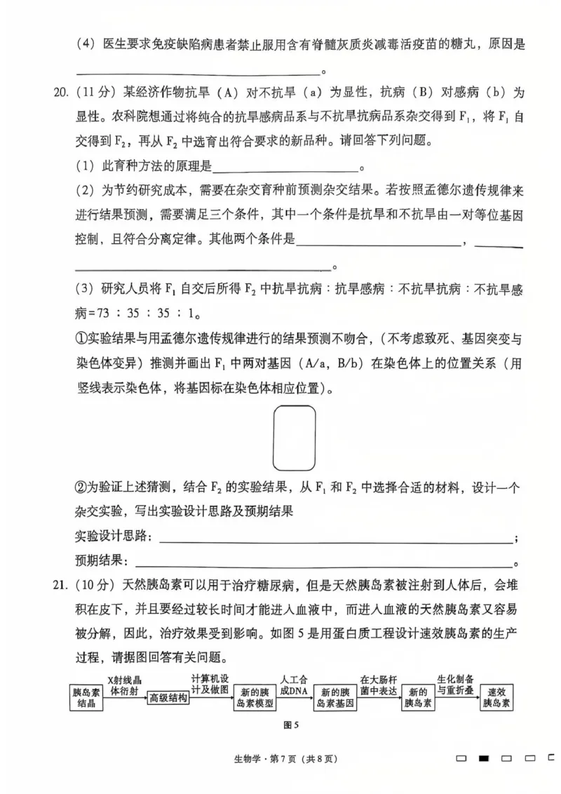 生物_2024-2025高三（6-6月题库）_2024年12月试卷_1229云南师大附中2025届高三12月适应性月考卷（七）（全科）_云南师大附中2025届高三12月适应性月考卷（七）生物试题