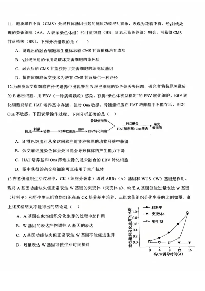 重庆市第十八中学2024-2025学年高二下学期5月学习能力摸底生物试卷（图片版，有答案）_2024-2025高二（7-7月题库）_2025年6月试卷