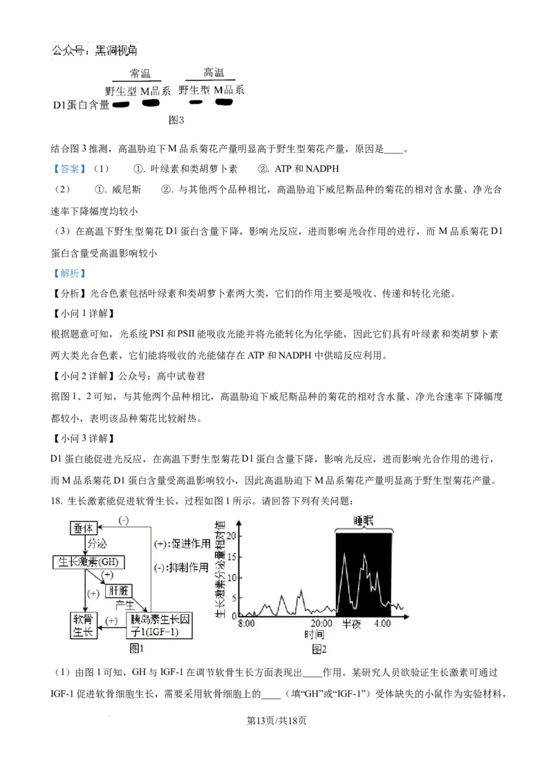 甘肃省白银市靖远县第一中学2024-2025学年高三上学期9月月考生物试题（解析）_2024-2025高三（6-6月题库）_2024年09月试卷_09252025高考模拟金典卷25新高考JD&middot;Y