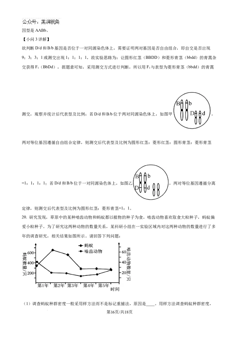 甘肃省白银市靖远县第一中学2024-2025学年高三上学期9月月考生物试题（解析）_2024-2025高三（6-6月题库）_2024年09月试卷_09252025高考模拟金典卷25新高考JD&middot;Y