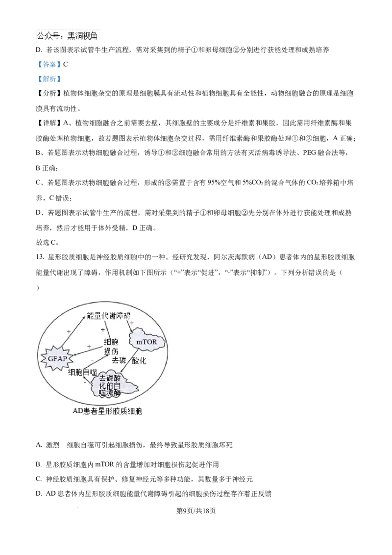甘肃省白银市靖远县第一中学2024-2025学年高三上学期9月月考生物试题（解析）_2024-2025高三（6-6月题库）_2024年09月试卷_09252025高考模拟金典卷25新高考JD&middot;Y
