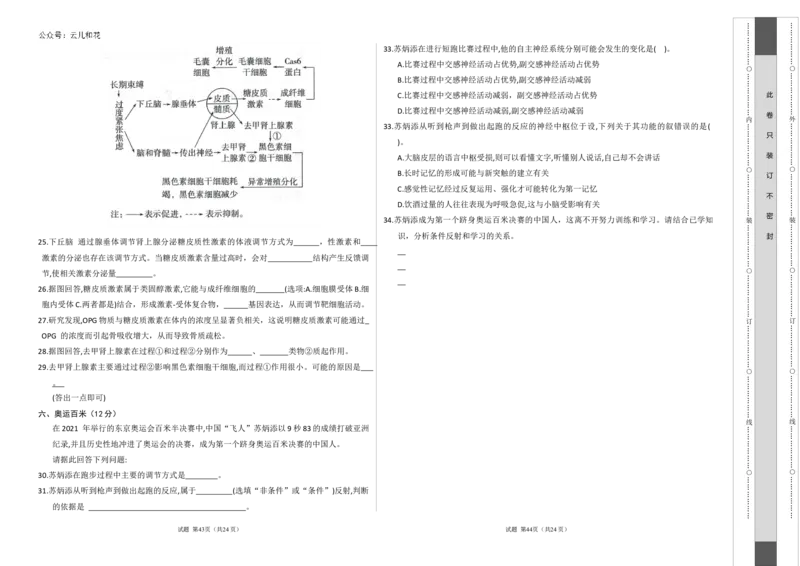 高二生物期中模拟卷（考试版A3）（上海专用）_2024年10月试卷_1021高二期中模拟卷（上海专用）黄金卷：2024-2025学年高二上学期期中模拟考试