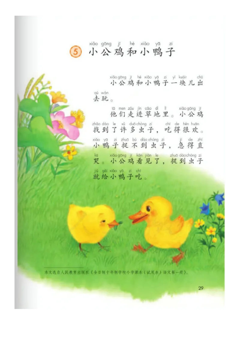 一年级下册语文部编版课堂笔记_小学1-6年级全部试卷_语文_一年级_3-6-2、小学一年级语文下册_3-6-2-1、复习、知识点、归纳汇总_部编版