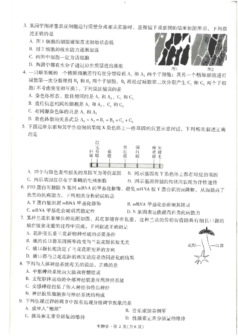 生物试卷+昆一中25届高三第二次月考（高中试卷君）_2024-2025高三（6-6月题库）_2024年09月试卷_0927云南省昆明市第一中学2025届高三第二次联考