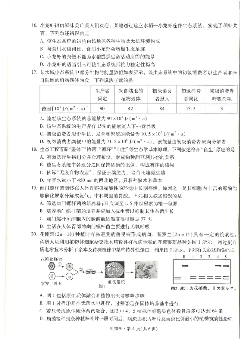 生物试卷+昆一中25届高三第二次月考（高中试卷君）_2024-2025高三（6-6月题库）_2024年09月试卷_0927云南省昆明市第一中学2025届高三第二次联考