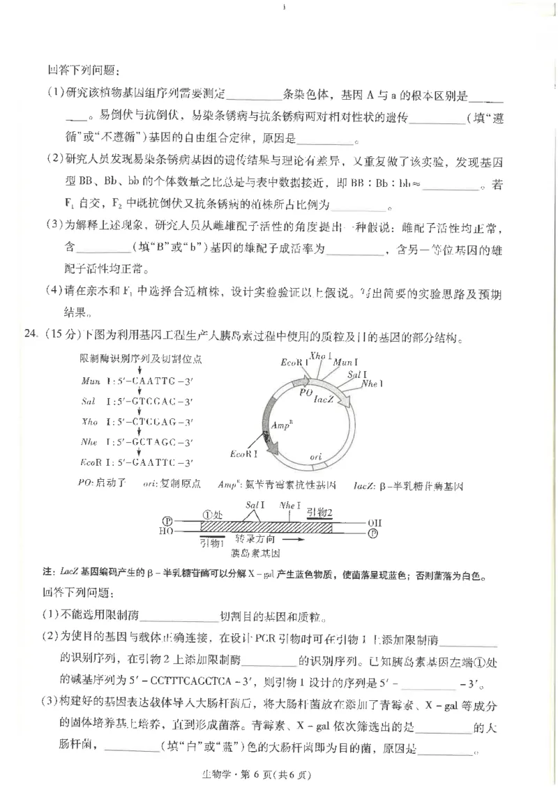 生物试卷+昆一中25届高三第二次月考（高中试卷君）_2024-2025高三（6-6月题库）_2024年09月试卷_0927云南省昆明市第一中学2025届高三第二次联考