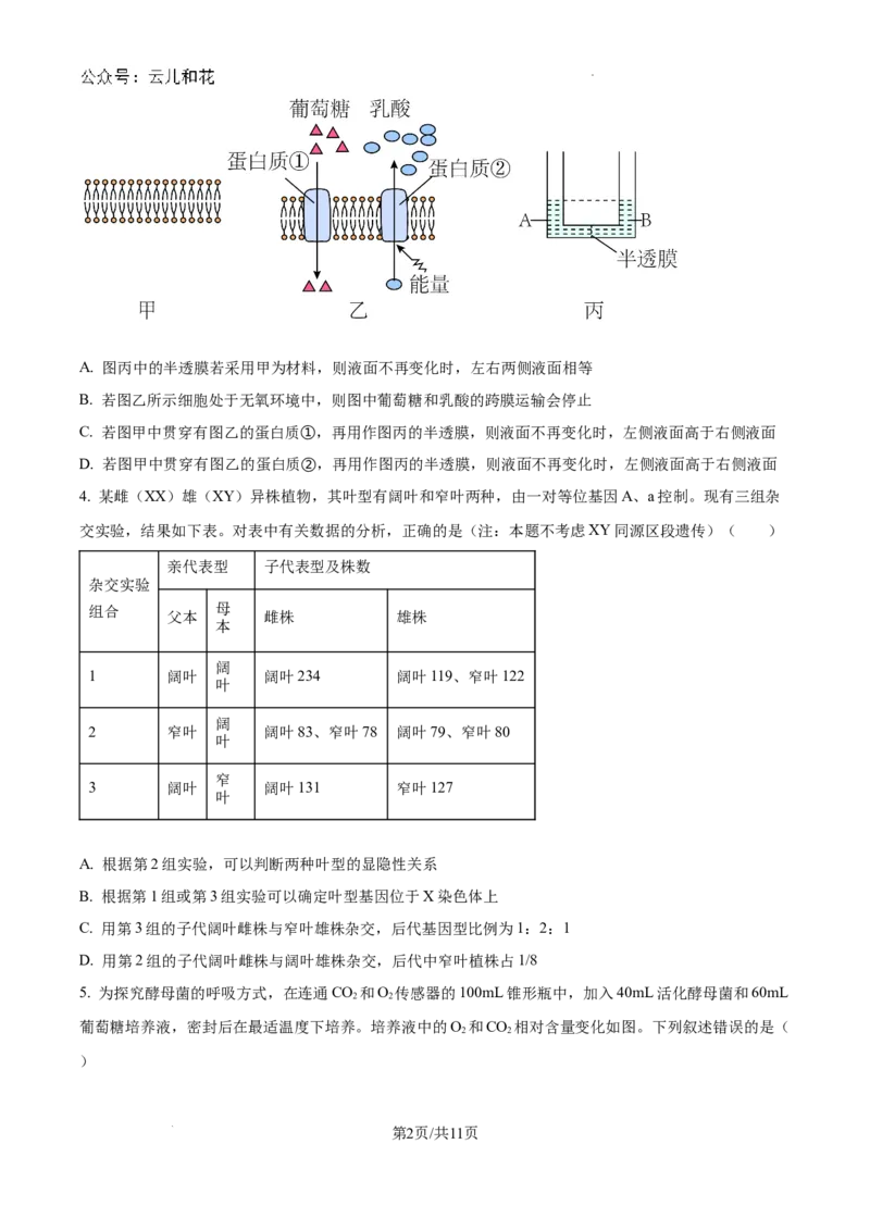 精品解析：河南省许昌市魏都区许昌高级中学2024-2025学年高二上学期开学检测生物试题（原卷版）_2024-2025高二（7-7月题库）_2024年09月试卷
