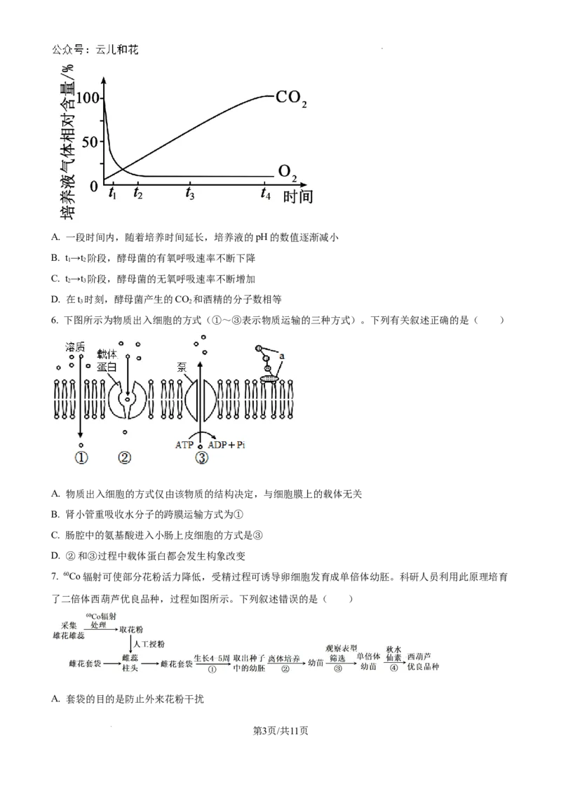 精品解析：河南省许昌市魏都区许昌高级中学2024-2025学年高二上学期开学检测生物试题（原卷版）_2024-2025高二（7-7月题库）_2024年09月试卷