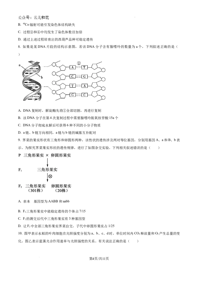 精品解析：河南省许昌市魏都区许昌高级中学2024-2025学年高二上学期开学检测生物试题（原卷版）_2024-2025高二（7-7月题库）_2024年09月试卷