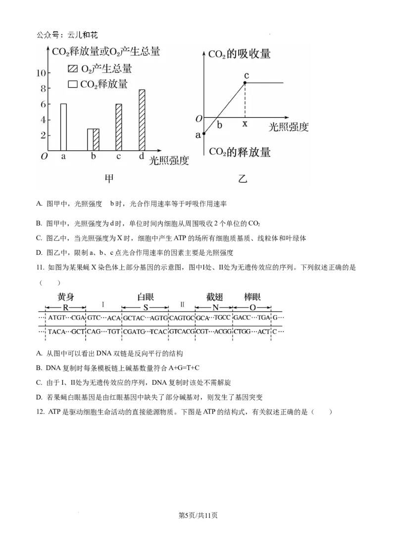 精品解析：河南省许昌市魏都区许昌高级中学2024-2025学年高二上学期开学检测生物试题（原卷版）_2024-2025高二（7-7月题库）_2024年09月试卷