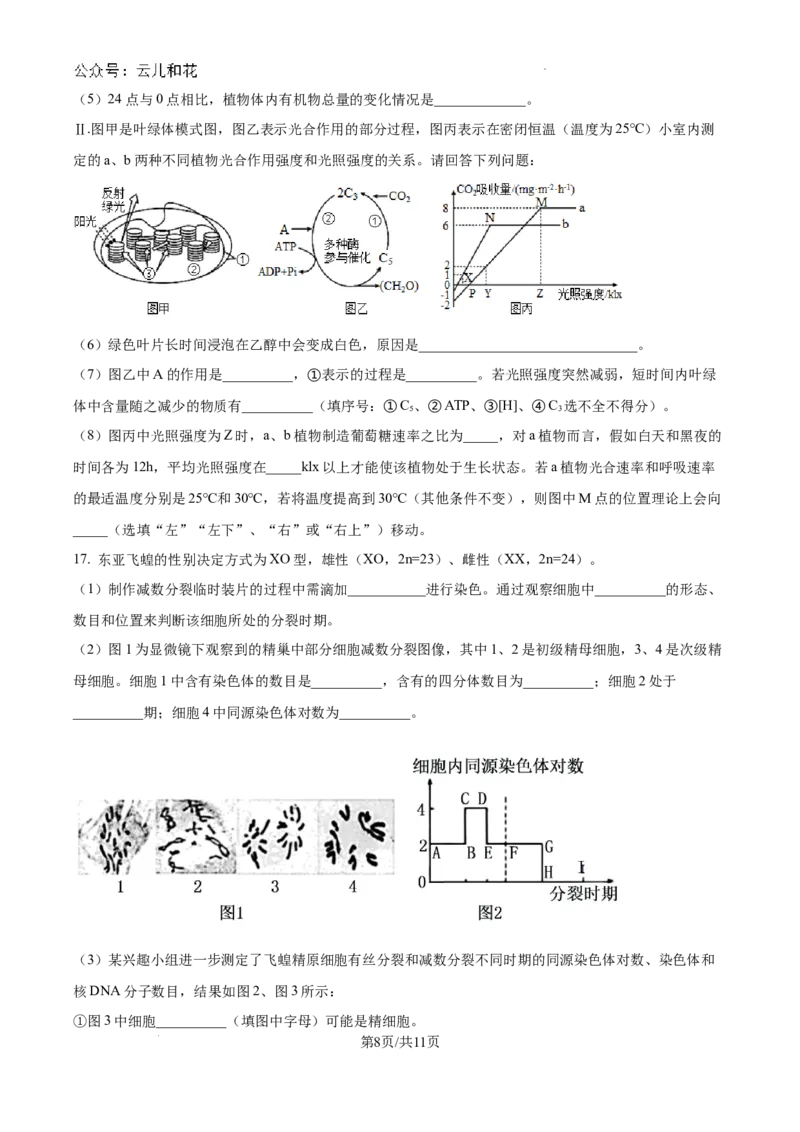 精品解析：河南省许昌市魏都区许昌高级中学2024-2025学年高二上学期开学检测生物试题（原卷版）_2024-2025高二（7-7月题库）_2024年09月试卷