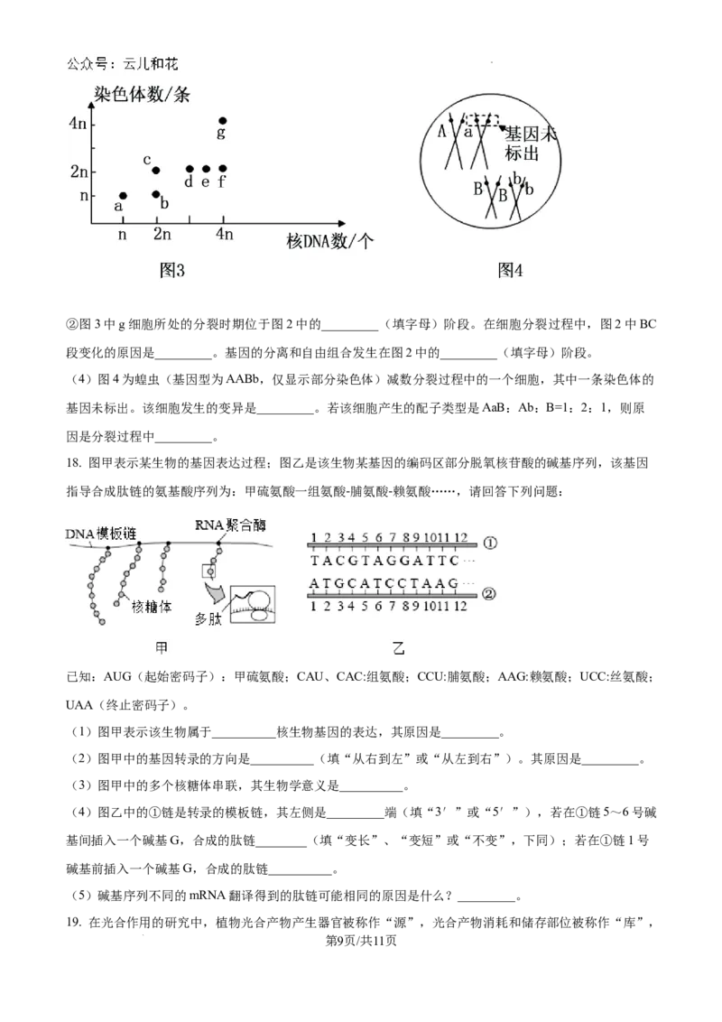 精品解析：河南省许昌市魏都区许昌高级中学2024-2025学年高二上学期开学检测生物试题（原卷版）_2024-2025高二（7-7月题库）_2024年09月试卷