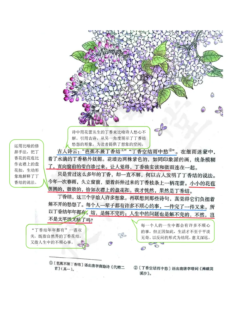 六年级上册语文部编版课堂笔记_小学1-6年级全部试卷_语文_六年级_3-11-1、小学六年级语文上册_3-11-1-1、复习、知识点、归纳汇总_部编（人教）版
