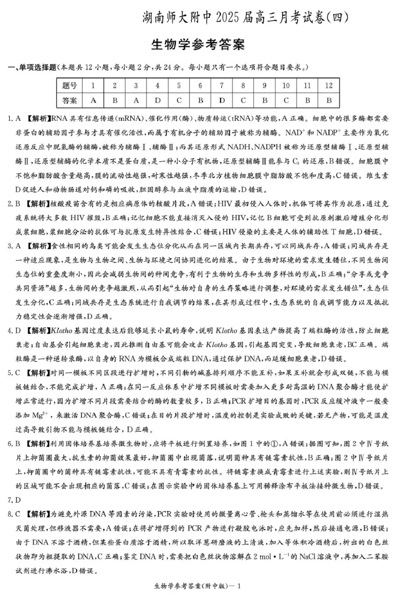 生物答案（附中4次）_2024-2025高三（6-6月题库）_2024年12月试卷_1210湖南省长沙市湖南师范大学附属中学2024-2025学年高三上学期月考卷（四）