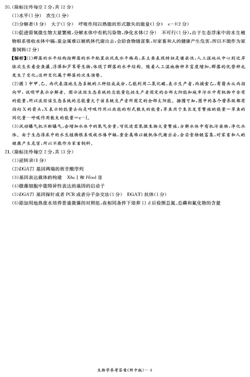 生物答案（附中4次）_2024-2025高三（6-6月题库）_2024年12月试卷_1210湖南省长沙市湖南师范大学附属中学2024-2025学年高三上学期月考卷（四）