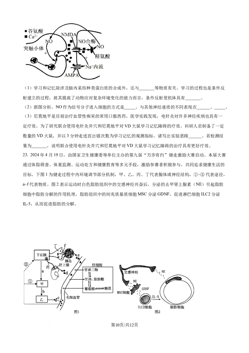 精品解析：山东省日照第一中学2025-2026学年高二上学期第一次质量检测生物试卷（原卷版）_2025年11月高二试卷_251107山东省日照第一中学2025-2026学年高二上学期第一次质量检测