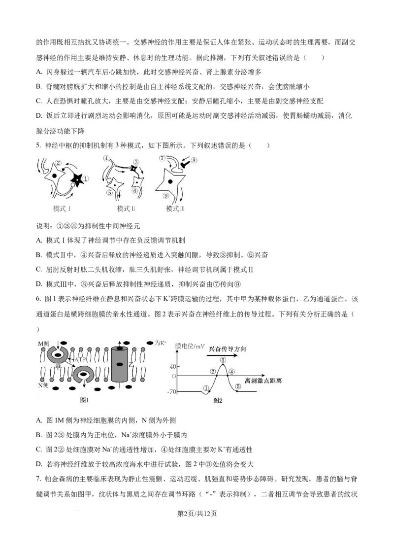 精品解析：山东省日照第一中学2025-2026学年高二上学期第一次质量检测生物试卷（原卷版）_2025年11月高二试卷_251107山东省日照第一中学2025-2026学年高二上学期第一次质量检测