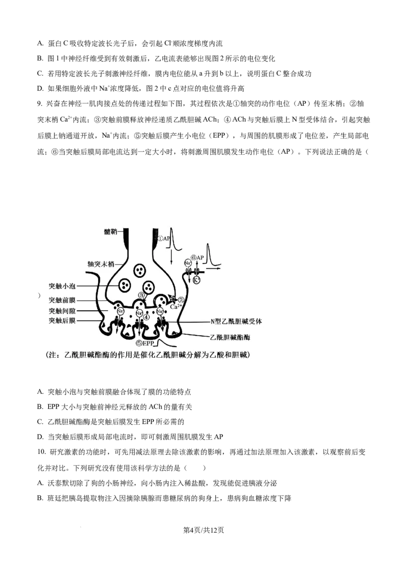 精品解析：山东省日照第一中学2025-2026学年高二上学期第一次质量检测生物试卷（原卷版）_2025年11月高二试卷_251107山东省日照第一中学2025-2026学年高二上学期第一次质量检测