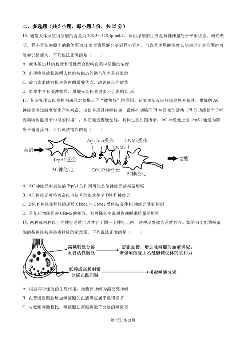 精品解析：山东省日照第一中学2025-2026学年高二上学期第一次质量检测生物试卷（原卷版）_2025年11月高二试卷_251107山东省日照第一中学2025-2026学年高二上学期第一次质量检测