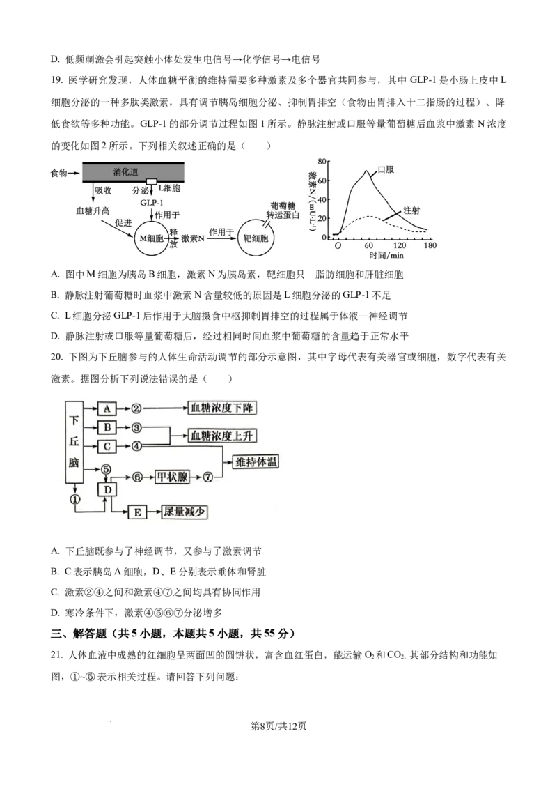 精品解析：山东省日照第一中学2025-2026学年高二上学期第一次质量检测生物试卷（原卷版）_2025年11月高二试卷_251107山东省日照第一中学2025-2026学年高二上学期第一次质量检测