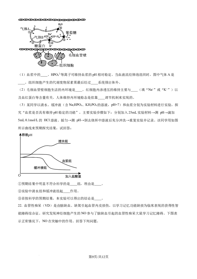 精品解析：山东省日照第一中学2025-2026学年高二上学期第一次质量检测生物试卷（原卷版）_2025年11月高二试卷_251107山东省日照第一中学2025-2026学年高二上学期第一次质量检测