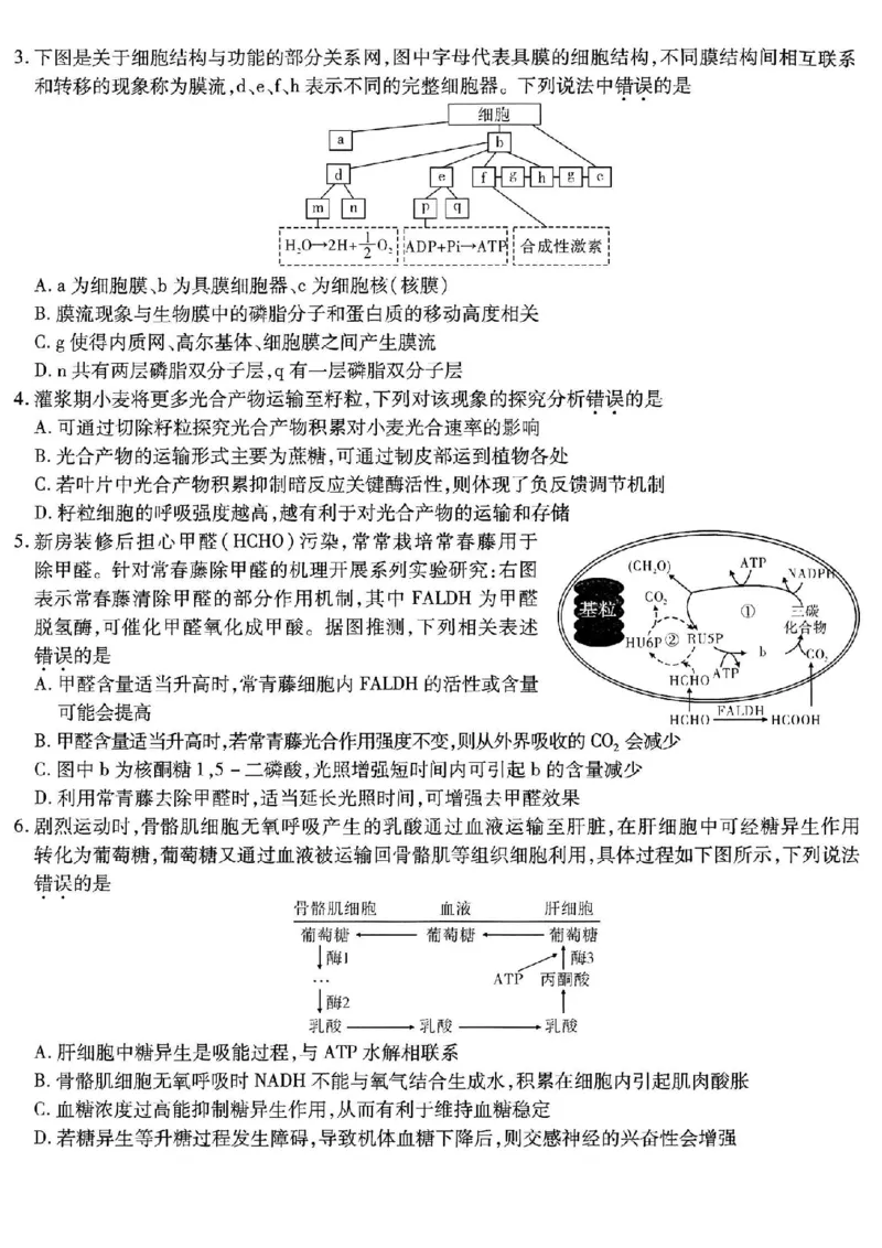 重庆市南开中学高2026届高三第五次质量检测生物_2024-2026高三（6-6月题库）_2026年01月高三试卷_0105重庆市南开中学高2026届高三第五次质量检测（全）