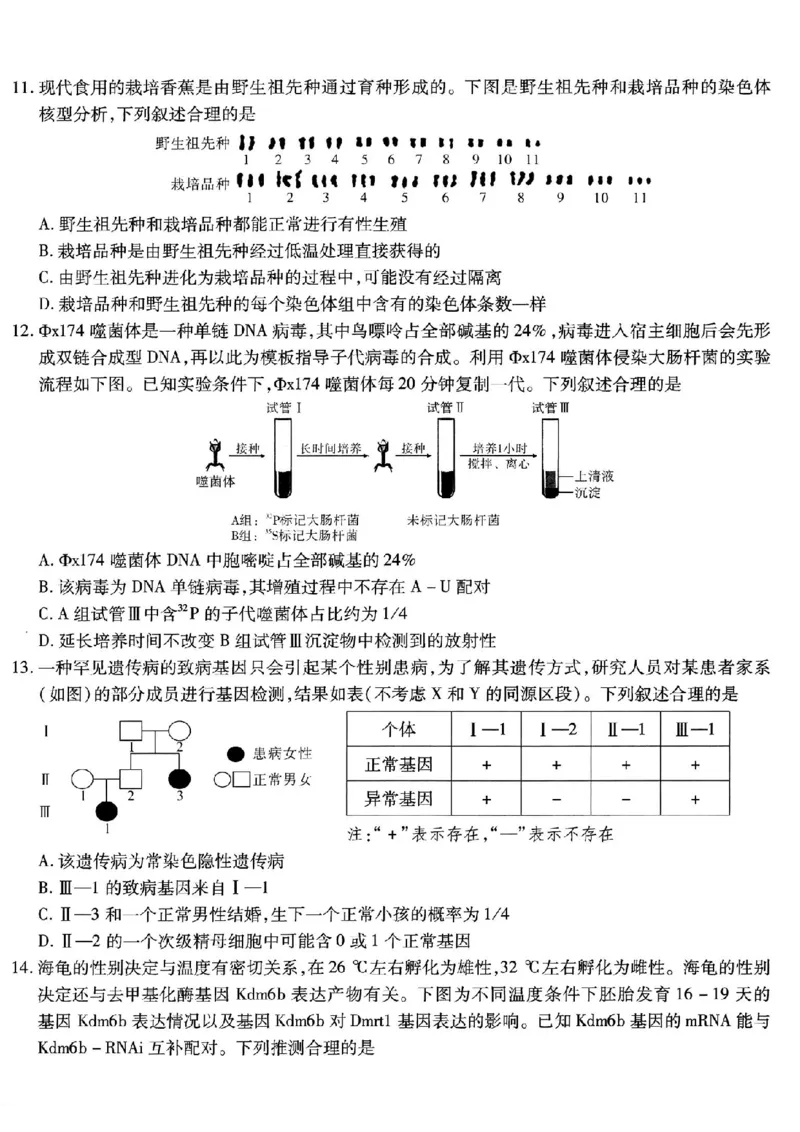 重庆市南开中学高2026届高三第五次质量检测生物_2024-2026高三（6-6月题库）_2026年01月高三试卷_0105重庆市南开中学高2026届高三第五次质量检测（全）
