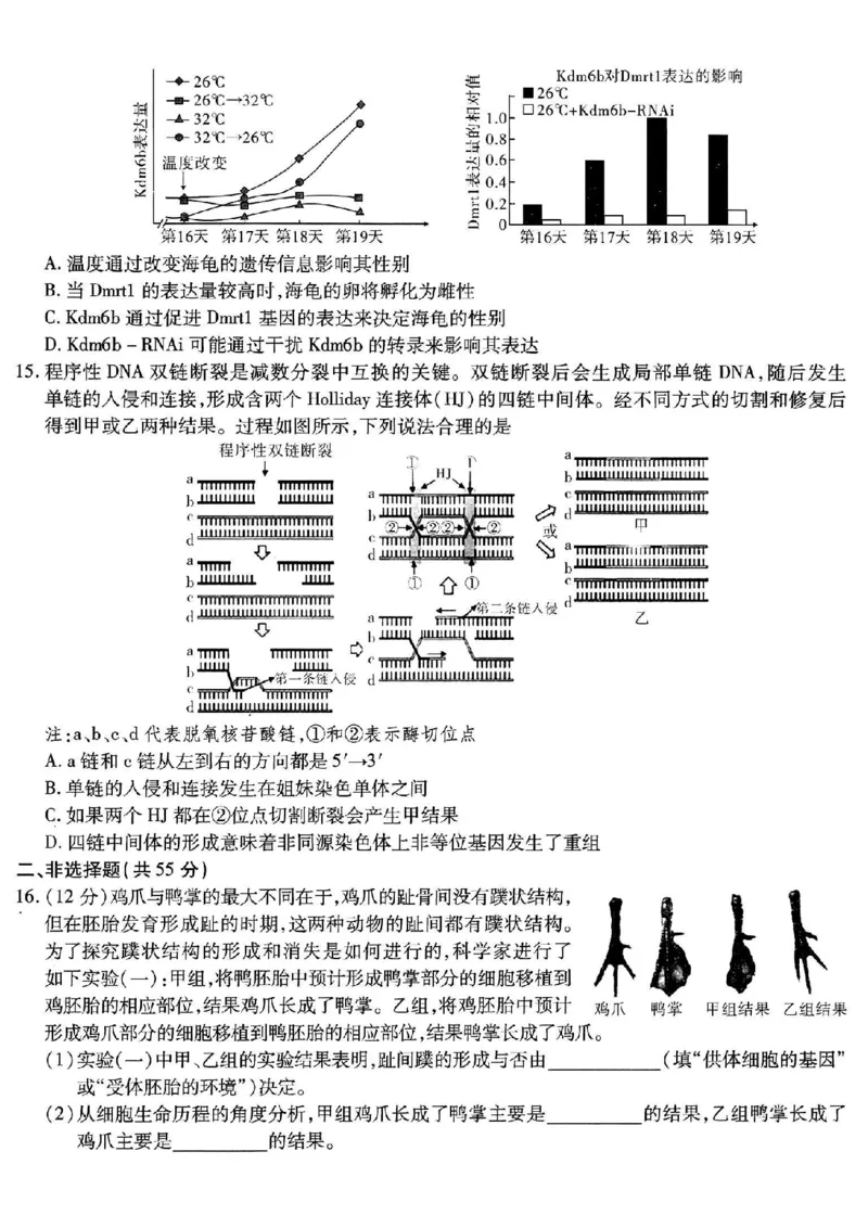 重庆市南开中学高2026届高三第五次质量检测生物_2024-2026高三（6-6月题库）_2026年01月高三试卷_0105重庆市南开中学高2026届高三第五次质量检测（全）