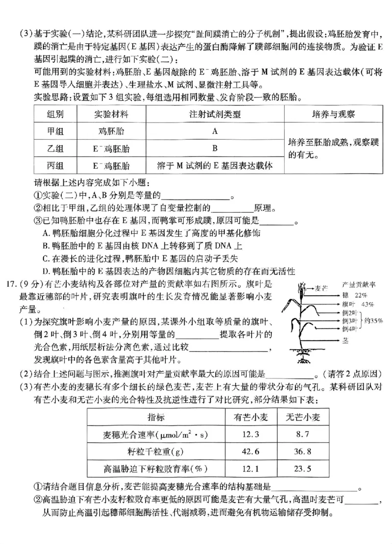 重庆市南开中学高2026届高三第五次质量检测生物_2024-2026高三（6-6月题库）_2026年01月高三试卷_0105重庆市南开中学高2026届高三第五次质量检测（全）