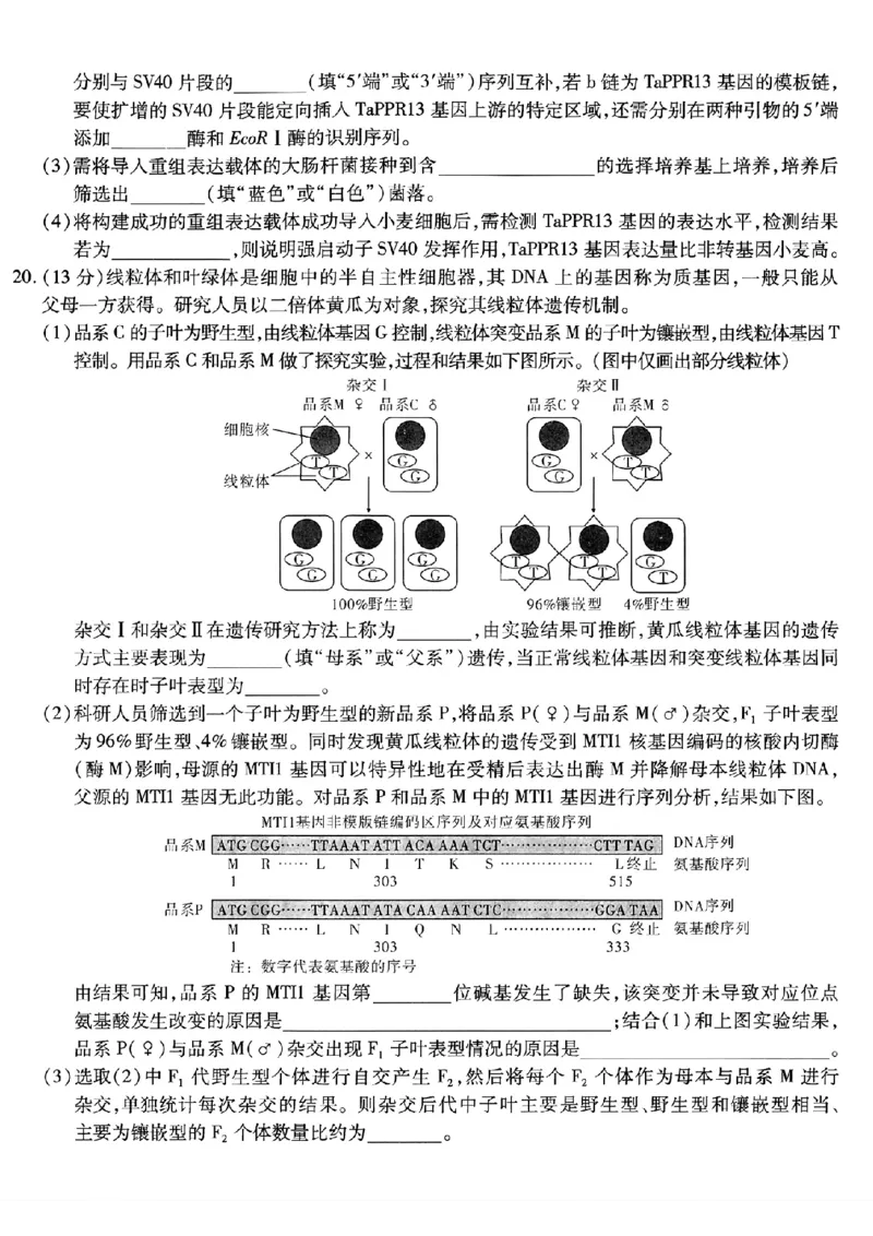 重庆市南开中学高2026届高三第五次质量检测生物_2024-2026高三（6-6月题库）_2026年01月高三试卷_0105重庆市南开中学高2026届高三第五次质量检测（全）